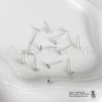 Piercing IMG_8743 (Copier)1