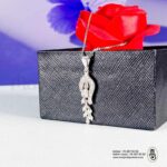 Chaine en argentIMG_5770