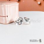 Ensemble en argentIMG_5628