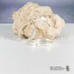 Boucles doreilles en argentIMG_5751