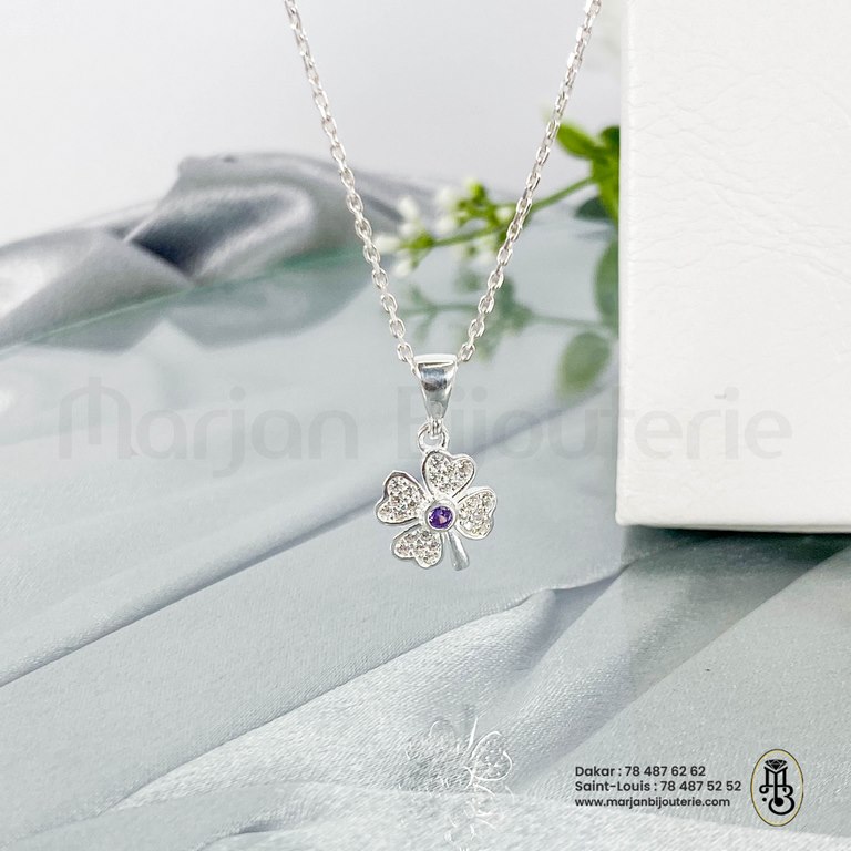 Ensemble en argentIMG_7195
