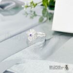 Ensemble en argentIMG_7151