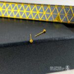 percing en orIMG_8327