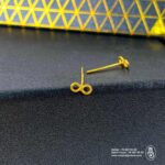 percing en orIMG_8333